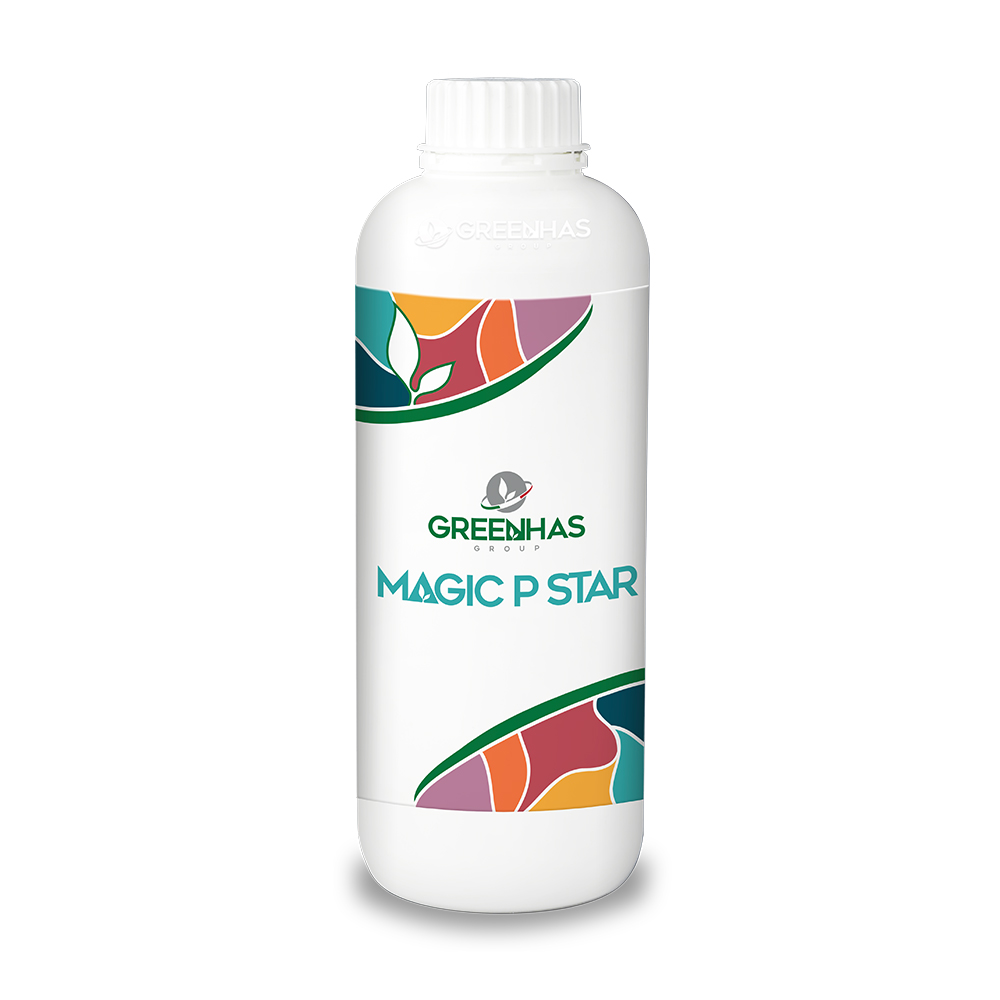 Magic P Star